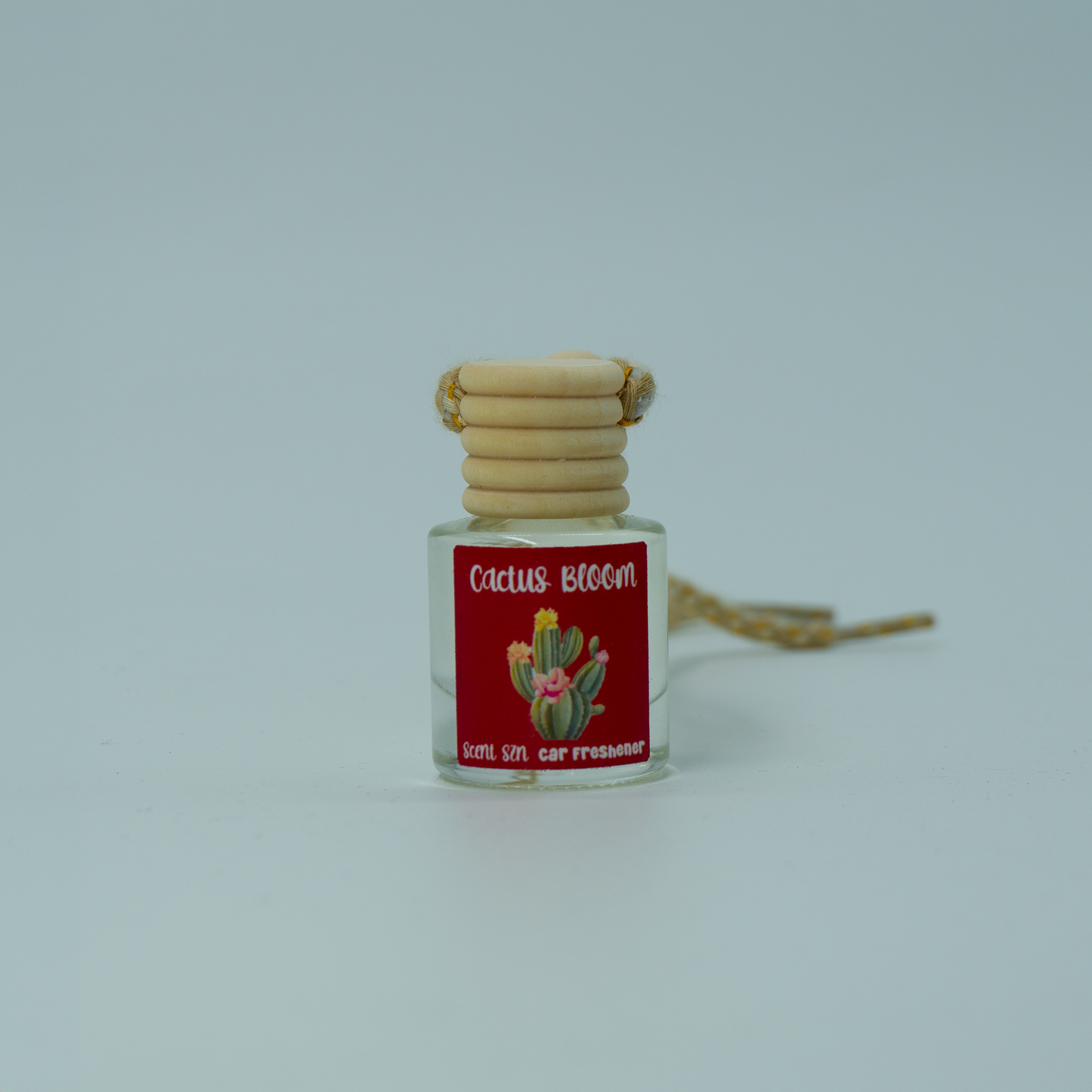 Hanging Car Air Freshener Diffusers