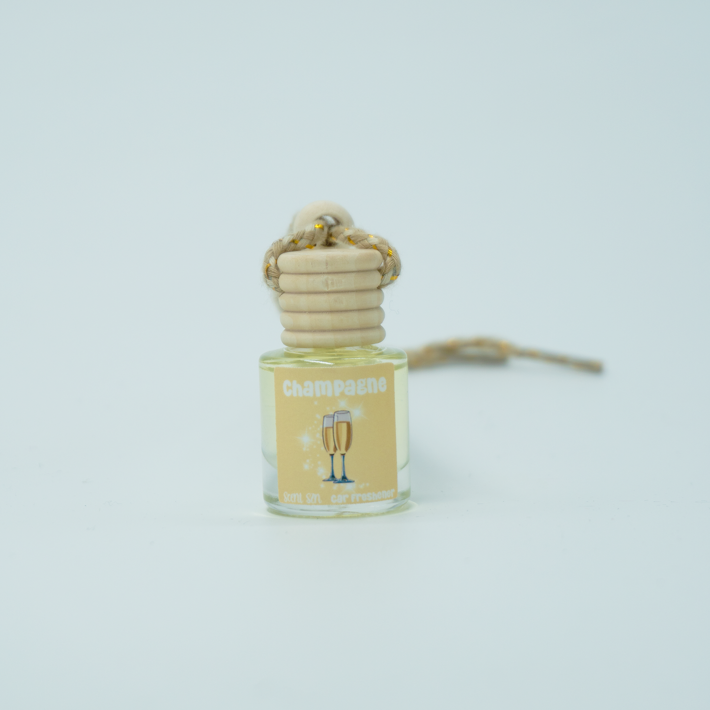 Hanging Car Air Freshener Diffusers