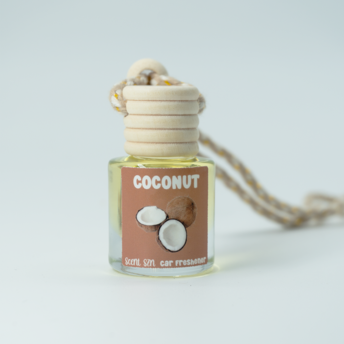 Hanging Car Air Freshener Diffusers