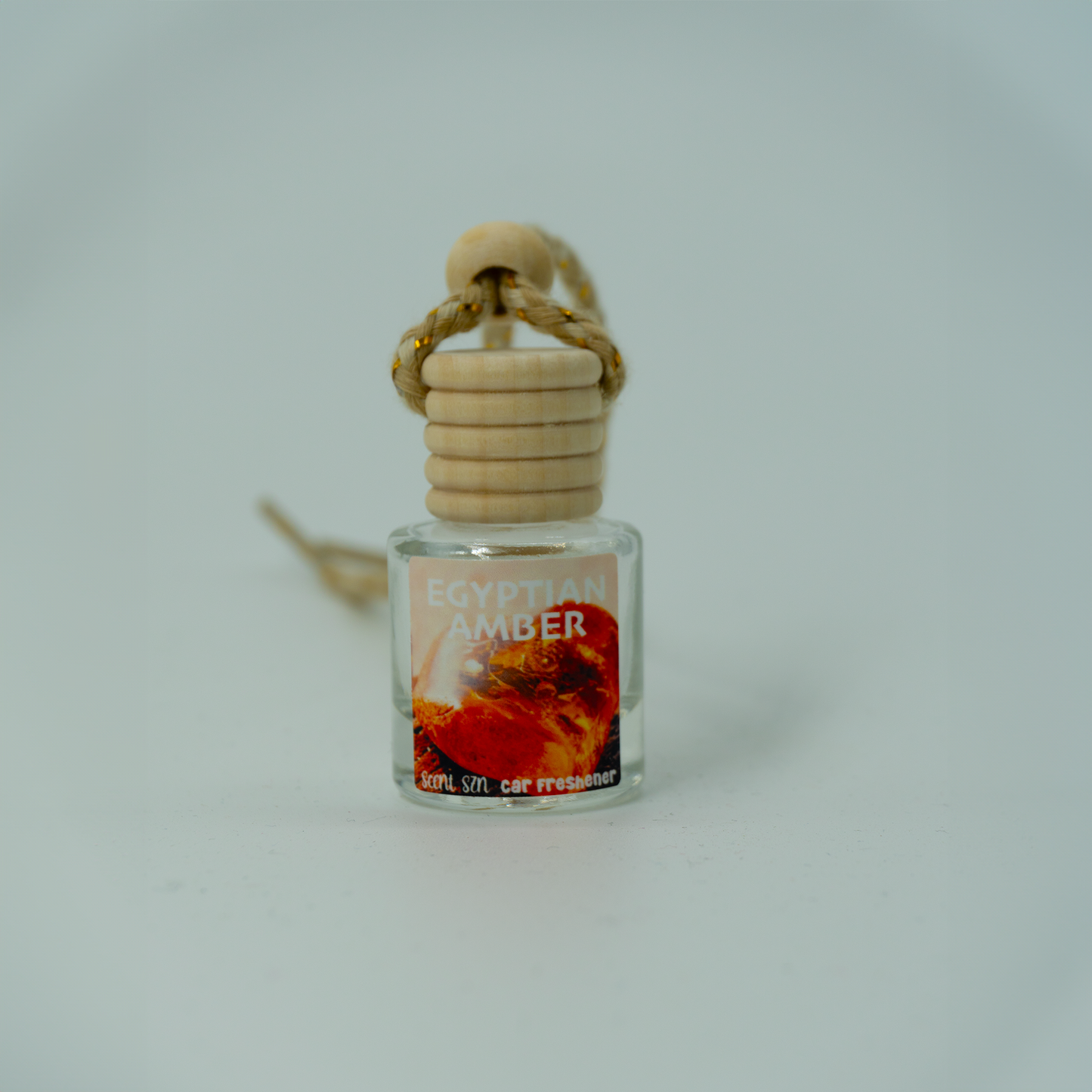 Hanging Car Air Freshener Diffusers