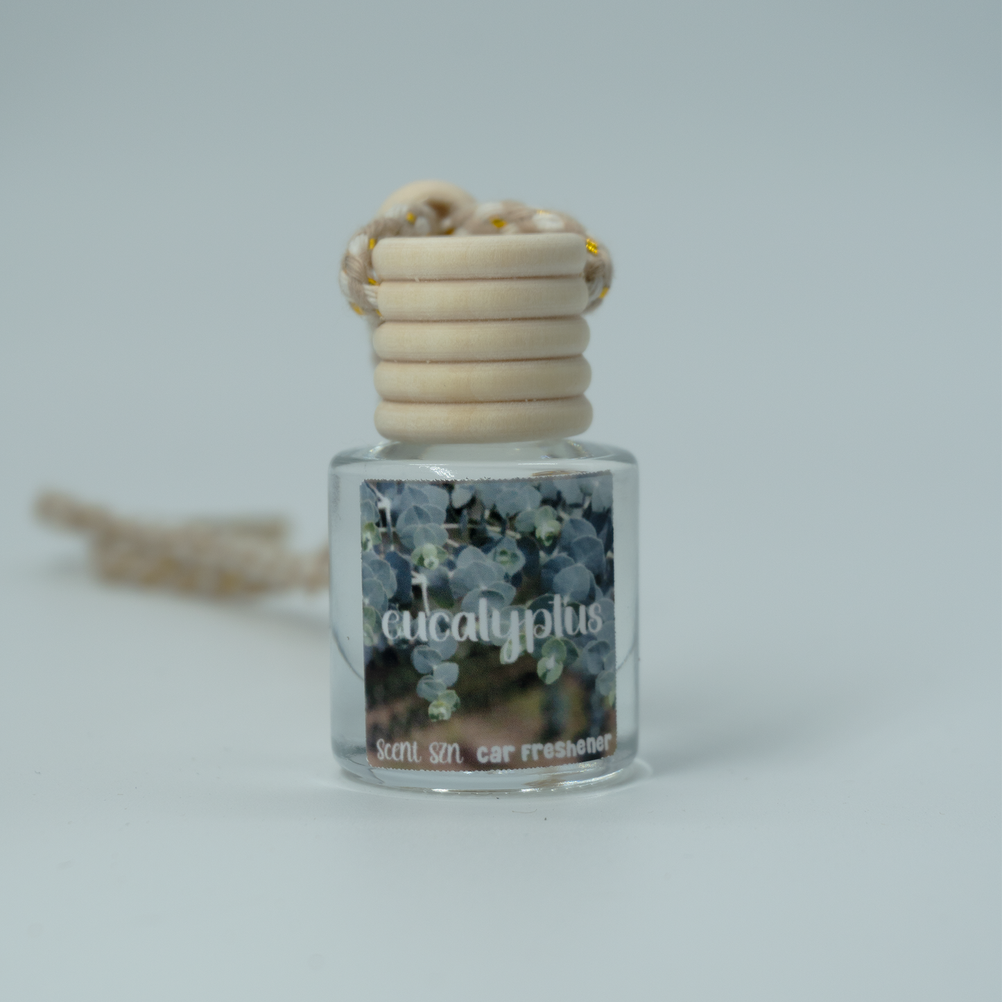 Hanging Car Air Freshener Diffusers