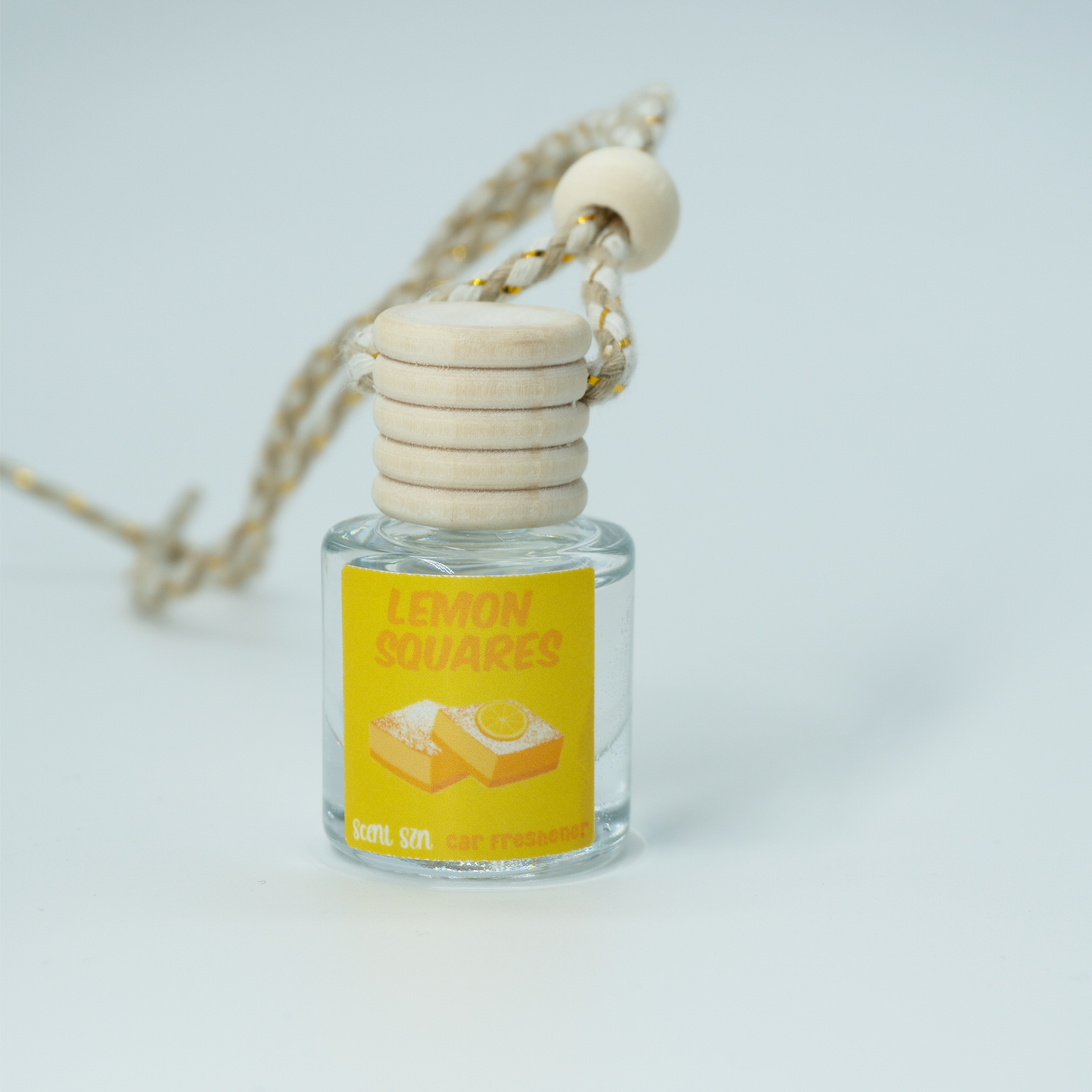 Hanging Car Air Freshener Diffusers