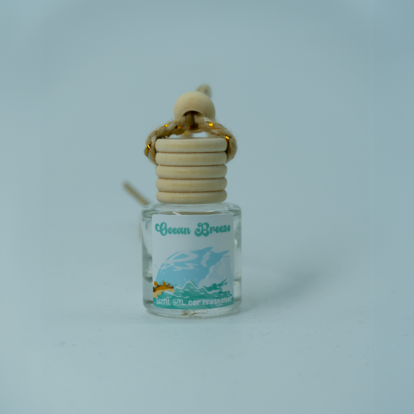 Hanging Car Air Freshener Diffusers