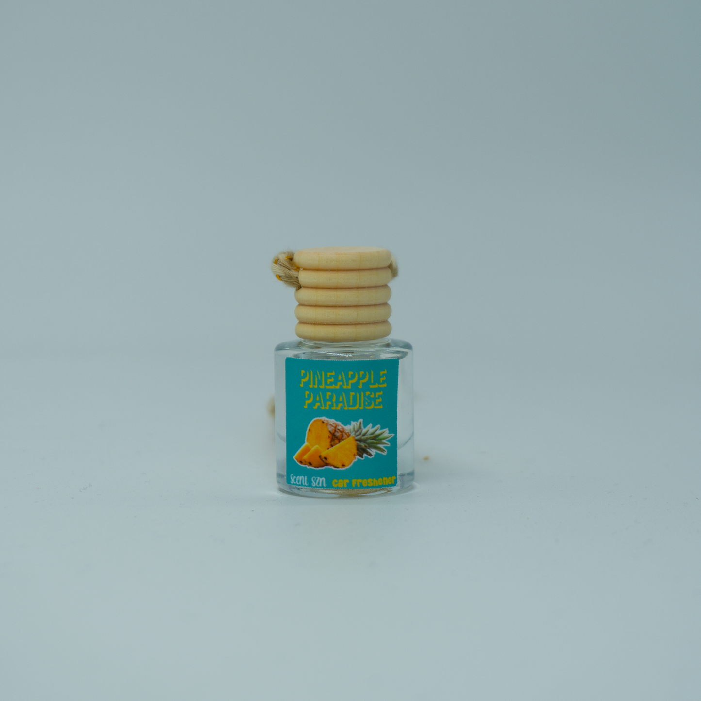 Hanging Car Air Freshener Diffusers