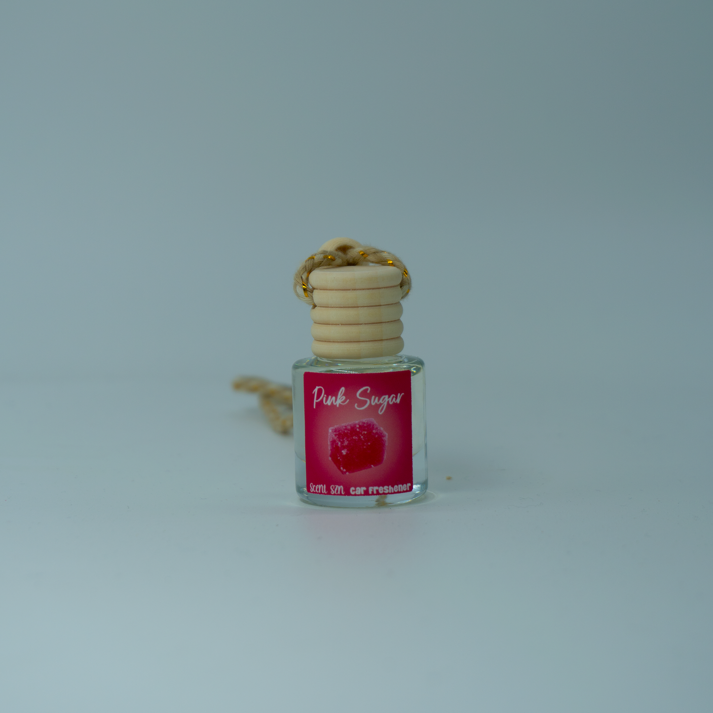 Hanging Car Air Freshener Diffusers