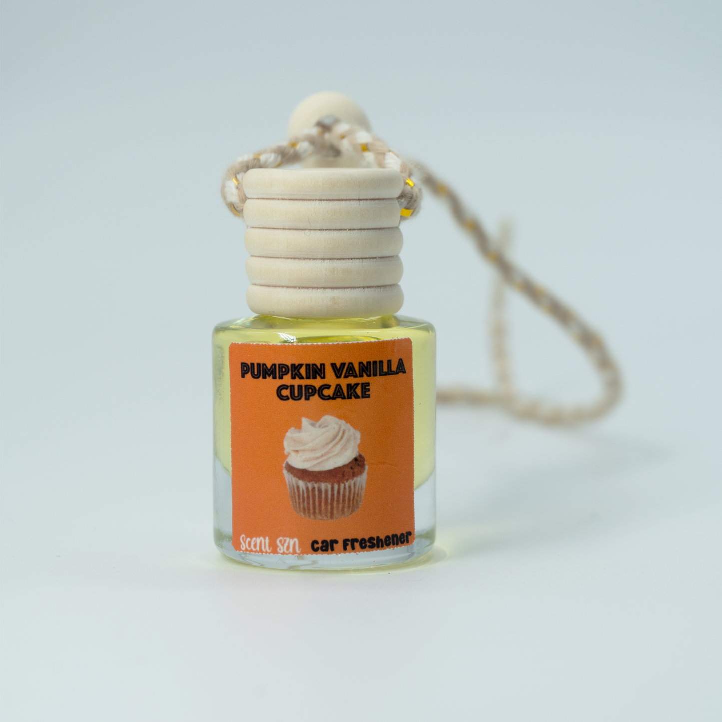 Hanging Car Air Freshener Diffusers