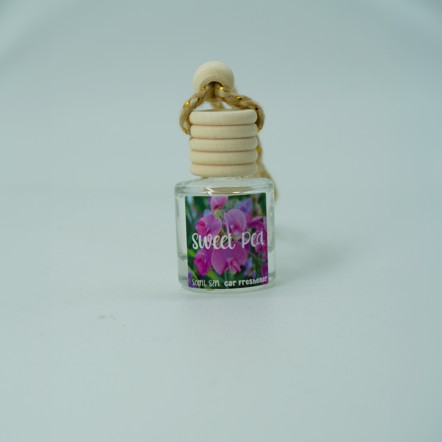 Hanging Car Air Freshener Diffusers